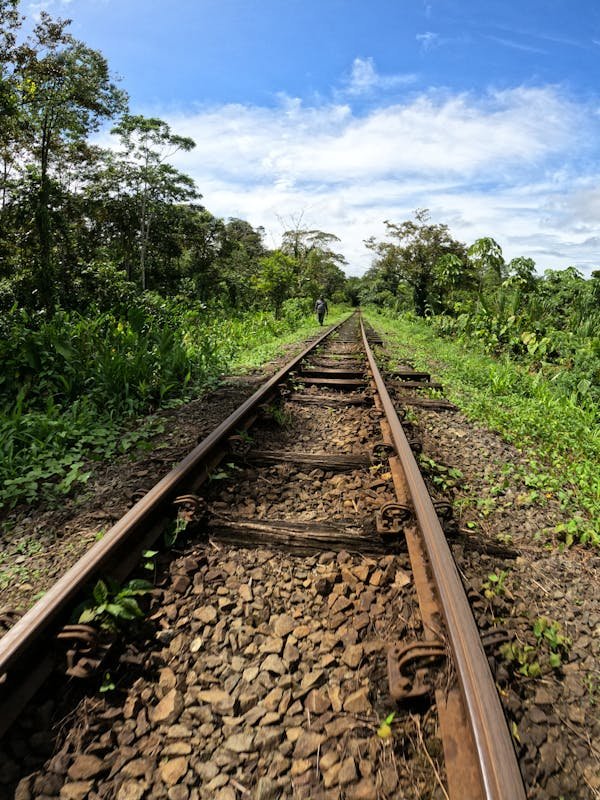 Atteignez le succès avec l'accompagnement de lapetitenation.com